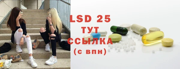 шишки Баксан