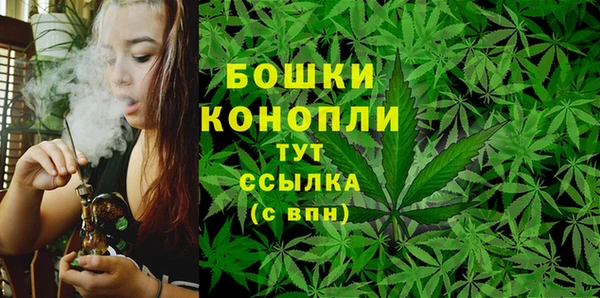 шишки Баксан
