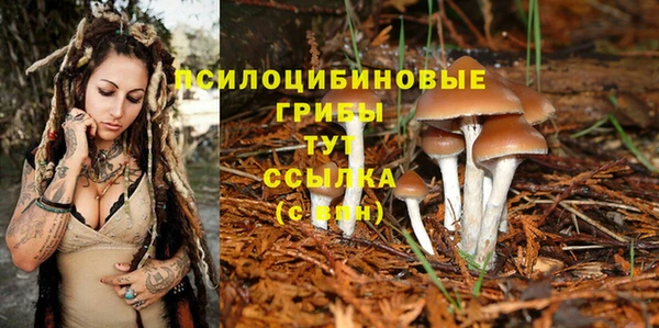 шишки Баксан