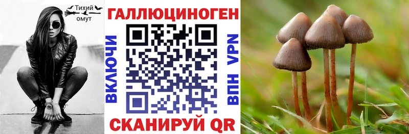 Галлюциногенные грибы MAGIC MUSHROOMS наркотики Кудрово